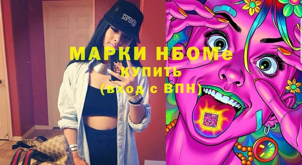 ешки Бородино