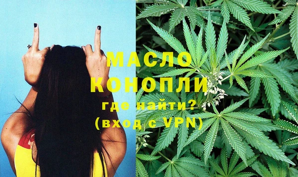 ешки Бородино