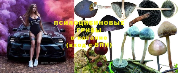 амф Верхний Тагил