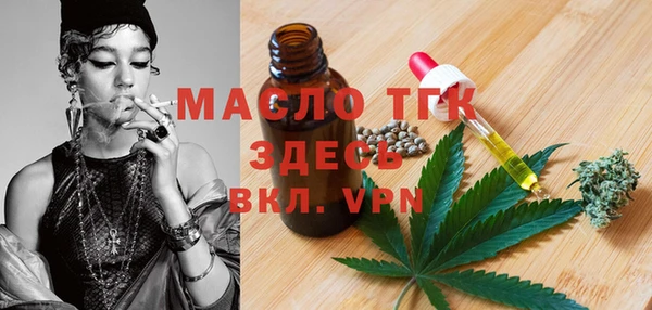 амф Верхний Тагил