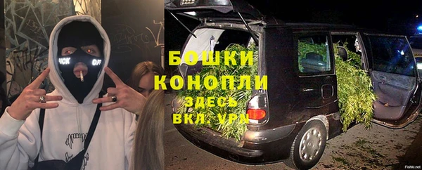амф Верхний Тагил
