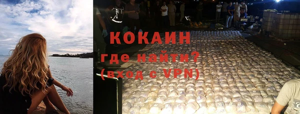 ешки Бородино