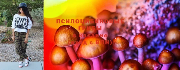 ешки Бородино