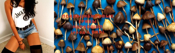 jwh Бугульма