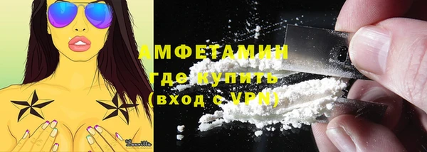 амф Верхний Тагил